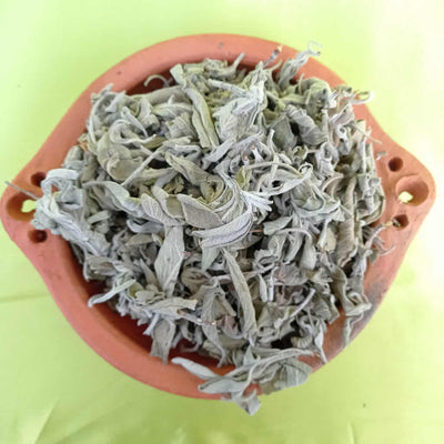 Sauge, feuilles entières en vrac